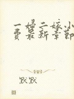 一妇二嫁小说免费最新章节