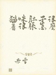 猫咪肚子很大摸着很胀怎么办封面