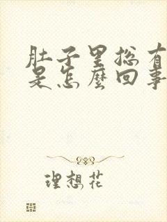 肚子里总有胀气是怎么回事