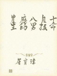 农历八月十六出生的男孩命运如何