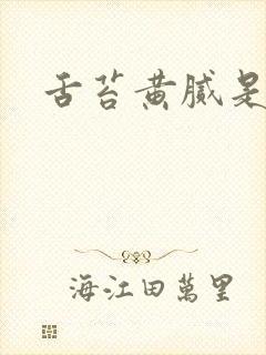 舌苔黄腻是湿气