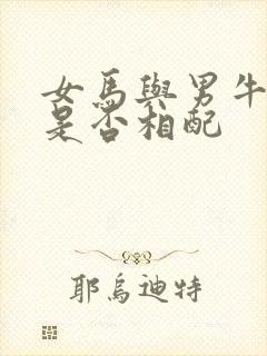 女马与男牛婚姻是否相配
