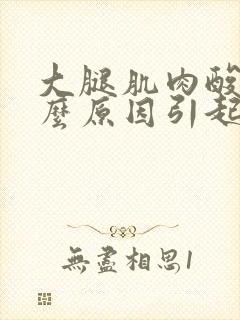 大腿肌肉酸痛什么原因引起的