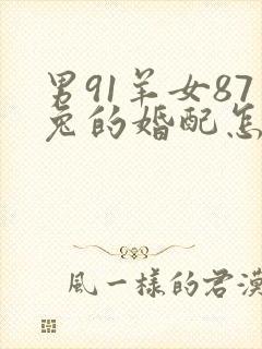 男91羊女87兔的婚配怎么样封面