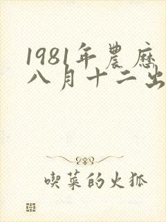 1981年农历八月十二出生命运