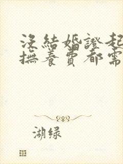 没结婚证起诉要抚养费都需要准备什么