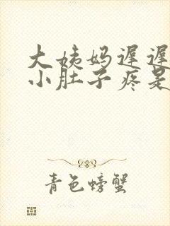 大姨妈迟迟不来小肚子疼是怎么回事