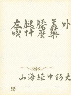 左腿膝盖外侧疼吃什么药