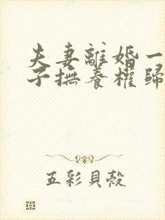 夫妻离婚一个孩子抚养权归谁