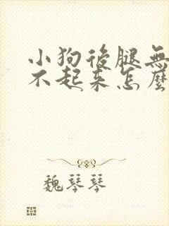 小狗后腿无力站不起来怎么回事封面