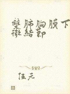 双肺胸膜下散在微结节封面