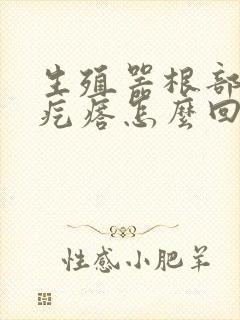 生殖器根部长个疙瘩怎么回事封面