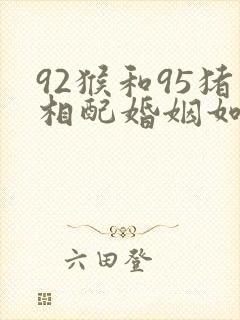 92猴和95猪相配婚姻如何封面