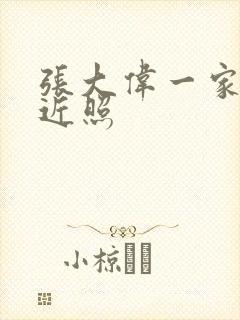 张大伟一家三口近照封面