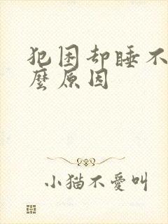 犯困却睡不着什么原因