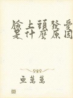 脸上头发爱出油是什么原因怎么办