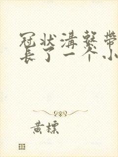 冠状沟系带旁边长了一个小肉粒