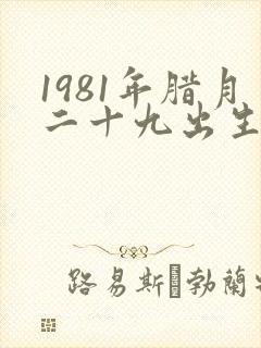 1981年腊月二十九出生的命运怎么样封面
