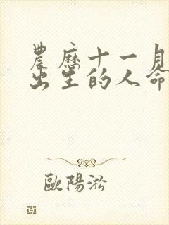 农历十一月初二出生的人命运