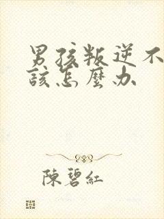 男孩叛逆不听话该怎么办