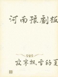 河南豫剧板胡弦