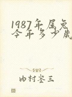 1987年属兔今年多少岁