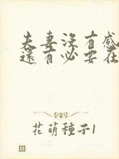 夫妻没有感情了还有必要在一起吗