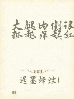 大腿内侧很痒越抓越痒起红色疹子