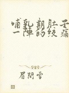 哺乳期肚子一阵一阵的绞痛封面