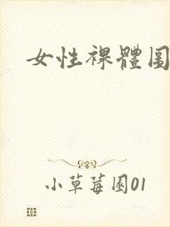 女性裸体图网站