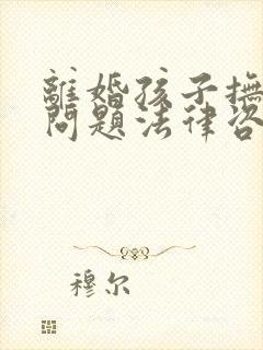 离婚孩子抚养权问题法律咨询