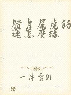 腊月属虎的人命运怎么样