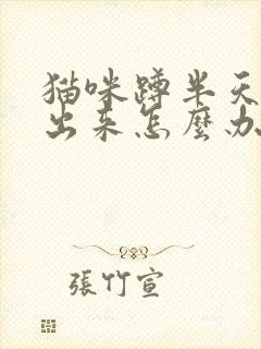 猫咪蹲半天尿不出来怎么办封面