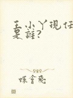 王小丫现任丈夫是谁?封面