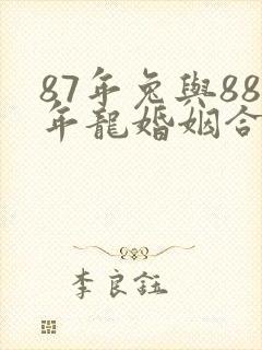 87年兔与88年龙婚姻合适吗封面