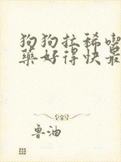 狗狗拉稀吃什么药好得快最有效