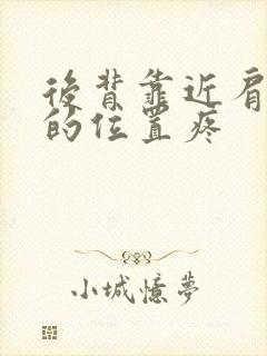 后背靠近肩胛骨的位置疼