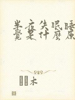 半夜失眠睡不着觉是什么原因呢