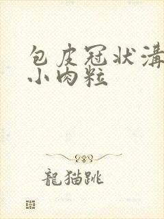 包皮冠状沟处有小肉粒封面