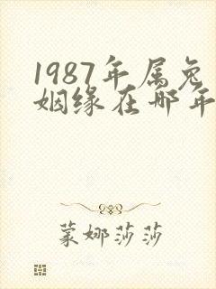 1987年属兔姻缘在哪年最旺盛