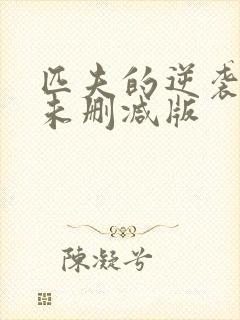 匹夫的逆袭小说未删减版