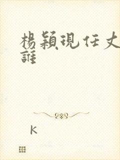 杨颖现任丈夫是谁封面