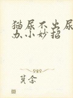 猫尿不出尿怎么办小妙招封面