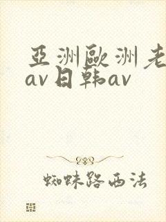 亚洲欧洲老熟妇av日韩av