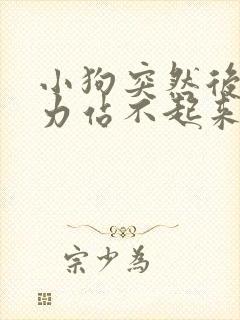 小狗突然后腿无力站不起来是什么原因