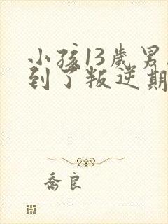 小孩13岁男孩到了叛逆期怎么教