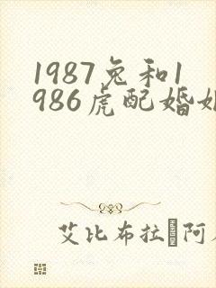 1987兔和1986虎配婚姻好不好