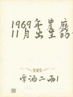 1969年农历11月出生的命运封面