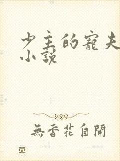 少主的宠夫女尊小说