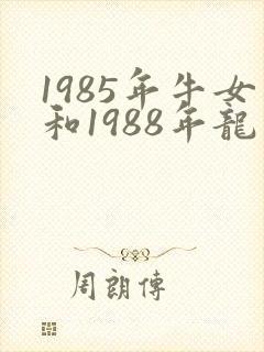 1985年牛女和1988年龙男的婚姻如何